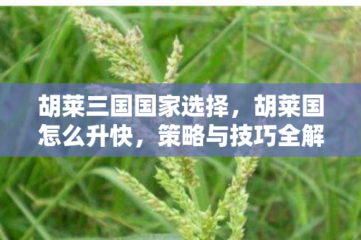 胡莱三国国家选择，胡莱国怎么升快，策略与技巧全解析