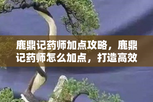 鹿鼎记药师加点攻略,鹿鼎记药师怎么加点,打造高效治疗团队的策略 鹿鼎记药师加点攻略,鹿鼎记药师怎么加点,打造高效治疗团队的策略