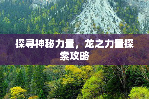 探寻神秘力量,龙之力量探索攻略 探寻神秘力量,龙之力量探索攻略