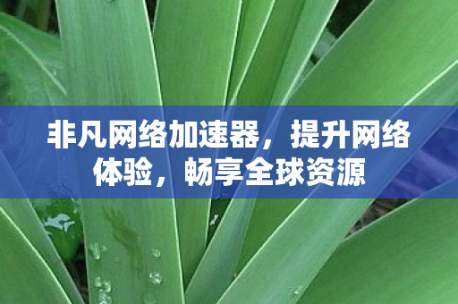 非凡网络加速器,提升网络体验,畅享全球资源 非凡网络加速器,提升网络体验,畅享全球资源