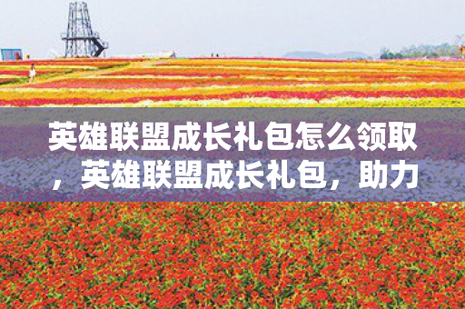英雄联盟成长礼包怎么领取，英雄联盟成长礼包，助力玩家飞速成长