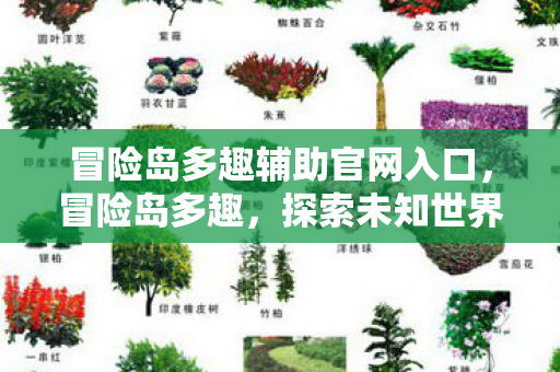 冒险岛多趣辅助官网入口,冒险岛多趣,探索未知世界的奇妙旅程 冒险岛多趣辅助官网入口,冒险岛多趣,探索未知世界的奇妙旅程