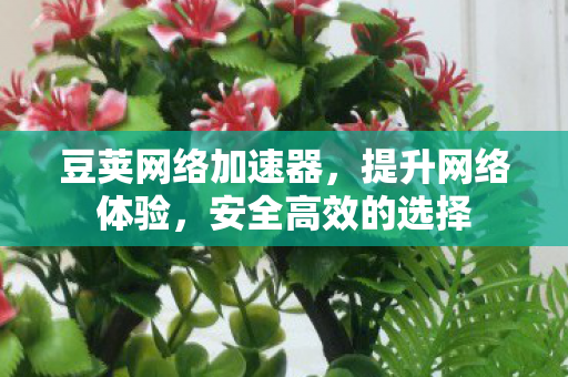豆荚网络加速器,提升网络体验,安全高效的选择 豆荚网络加速器,提升网络体验,安全高效的选择