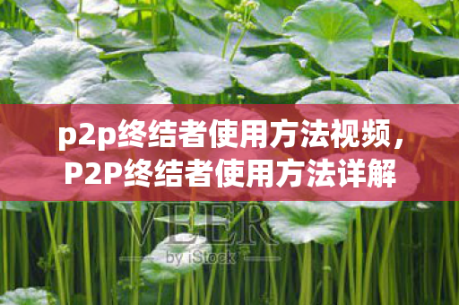 p2p终结者使用方法视频,P2P终结者使用方法详解 p2p终结者使用方法视频,P2P终结者使用方法详解