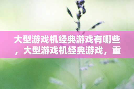 大型游戏机经典游戏有哪些,大型游戏机经典游戏,重温那些年的经典回忆 大型游戏机经典游戏有哪些,大型游戏机经典游戏,重温那些年的经典回忆