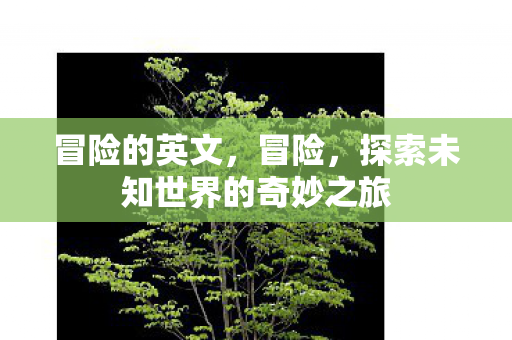 冒险的英文,冒险,探索未知世界的奇妙之旅 冒险的英文,冒险,探索未知世界的奇妙之旅