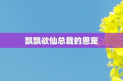 飘飘欲仙总裁的恩宠 飘飘欲仙总裁的恩宠