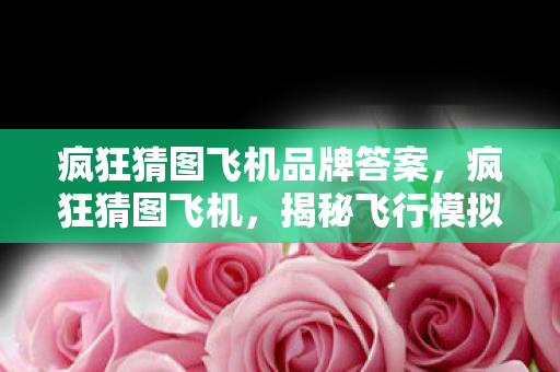 疯狂猜图飞机品牌答案,疯狂猜图飞机,揭秘飞行模拟游戏的魅力与乐趣 疯狂猜图飞机品牌答案,疯狂猜图飞机,揭秘飞行模拟游戏的魅力与乐趣