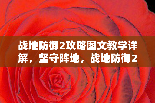 战地防御2攻略图文教学详解,坚守阵地,战地防御2全面攻略 战地防御2攻略图文教学详解,坚守阵地,战地防御2全面攻略