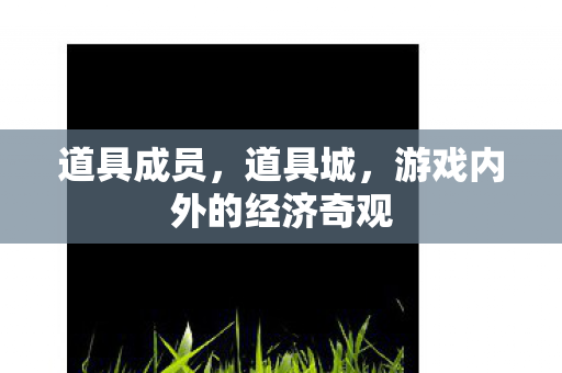道具成员,道具城,游戏内外的经济奇观 道具成员,道具城,游戏内外的经济奇观