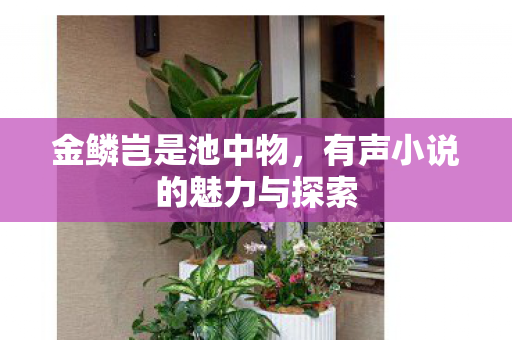 金鳞岂是池中物,有声小说的魅力与探索 金鳞岂是池中物,有声小说的魅力与探索