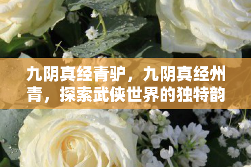 九阴真经青驴,九阴真经州青,探索武侠世界的独特韵味 九阴真经青驴,九阴真经州青,探索武侠世界的独特韵味