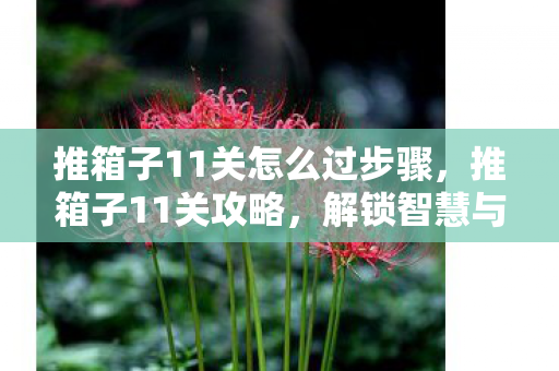 推箱子11关怎么过步骤,推箱子11关攻略,解锁智慧与技巧的终极挑战 推箱子11关怎么过步骤,推箱子11关攻略,解锁智慧与技巧的终极挑战