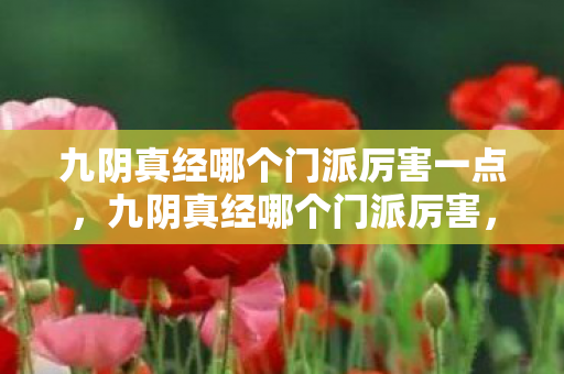 九阴真经哪个门派厉害一点,九阴真经哪个门派厉害,丐帮的实战与优势 九阴真经哪个门派厉害一点,九阴真经哪个门派厉害,丐帮的实战与优势
