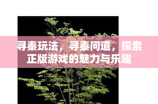 寻秦玩法,寻秦问道,探索正版游戏的魅力与乐趣 寻秦玩法,寻秦问道,探索正版游戏的魅力与乐趣