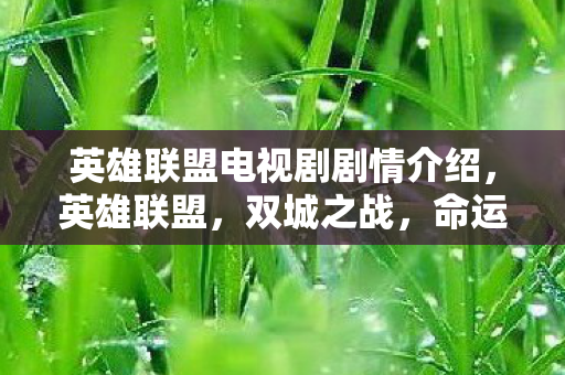 英雄联盟电视剧剧情介绍，英雄联盟，双城之战，命运的交织