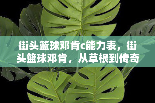 街头篮球邓肯c能力表,街头篮球邓肯,从草根到传奇的篮球之路 街头篮球邓肯c能力表,街头篮球邓肯,从草根到传奇的篮球之路