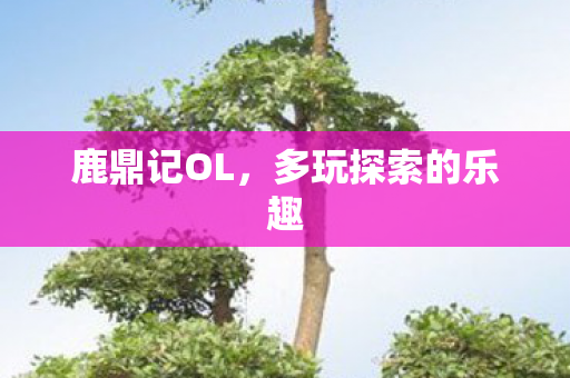 鹿鼎记OL,多玩探索的乐趣 鹿鼎记OL,多玩探索的乐趣
