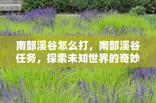 南部溪谷怎么打,南部溪谷任务,探索未知世界的奇妙之旅 南部溪谷怎么打,南部溪谷任务,探索未知世界的奇妙之旅