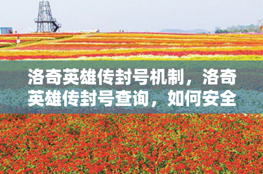 洛奇英雄传封号机制,洛奇英雄传封号查询,如何安全游戏,避免账号被封? 洛奇英雄传封号机制,洛奇英雄传封号查询,如何安全游戏,避免账号被封?