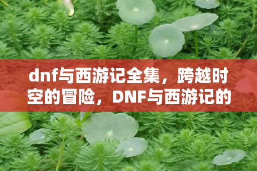 dnf与西游记全集,跨越时空的冒险,DNF与西游记的奇幻联动 dnf与西游记全集,跨越时空的冒险,DNF与西游记的奇幻联动
