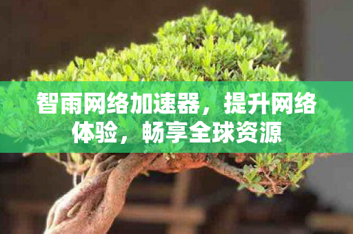 智雨网络加速器，提升网络体验，畅享全球资源