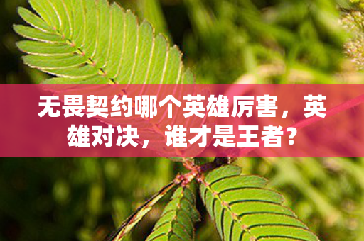 无畏契约哪个英雄厉害,英雄对决,谁才是王者? 无畏契约哪个英雄厉害,英雄对决,谁才是王者?