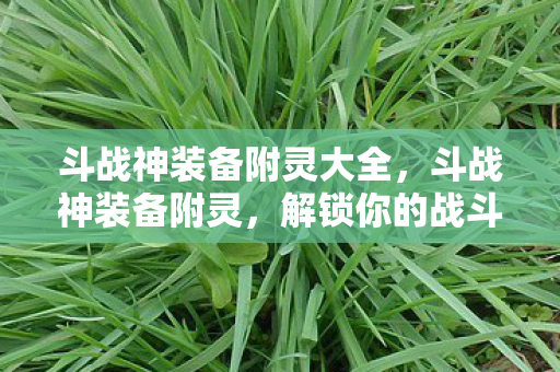 斗战神装备附灵大全,斗战神装备附灵,解锁你的战斗潜能 斗战神装备附灵大全,斗战神装备附灵,解锁你的战斗潜能