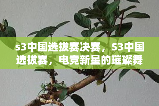 s3中国选拔赛决赛,S3中国选拔赛,电竞新星的璀璨舞台 s3中国选拔赛决赛,S3中国选拔赛,电竞新星的璀璨舞台