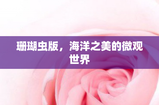 珊瑚虫版,海洋之美的微观世界 珊瑚虫版,海洋之美的微观世界