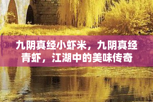 九阴真经小虾米,九阴真经青虾,江湖中的美味传奇 九阴真经小虾米,九阴真经青虾,江湖中的美味传奇