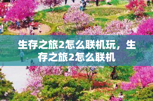 生存之旅2怎么联机玩,生存之旅2怎么联机 生存之旅2怎么联机玩,生存之旅2怎么联机