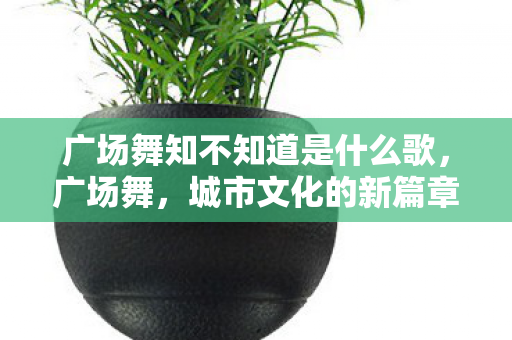 广场舞知不知道是什么歌，广场舞，城市文化的新篇章