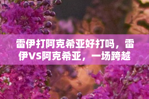 雷伊打阿克希亚好打吗，雷伊VS阿克希亚，一场跨越时空的激战