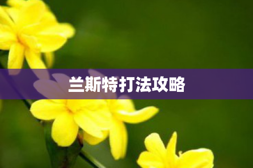 兰斯特打法攻略 兰斯特打法攻略