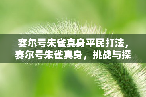赛尔号朱雀真身平民打法,赛尔号朱雀真身,挑战与探索的奇幻之旅 赛尔号朱雀真身平民打法,赛尔号朱雀真身,挑战与探索的奇幻之旅