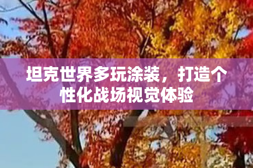 坦克世界多玩涂装,打造个性化战场视觉体验 坦克世界多玩涂装,打造个性化战场视觉体验