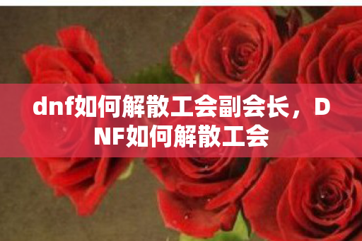 dnf如何解散工会副会长,DNF如何解散工会 dnf如何解散工会副会长,DNF如何解散工会