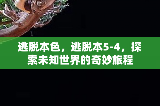 逃脱本色,逃脱本5-4,探索未知世界的奇妙旅程 逃脱本色,逃脱本5-4,探索未知世界的奇妙旅程