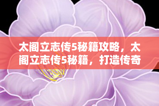 太阁立志传5秘籍攻略,太阁立志传5秘籍,打造传奇武将的秘诀 太阁立志传5秘籍攻略,太阁立志传5秘籍,打造传奇武将的秘诀