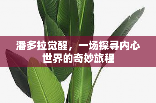 潘多拉觉醒,一场探寻内心世界的奇妙旅程 潘多拉觉醒,一场探寻内心世界的奇妙旅程