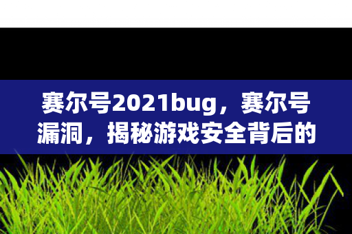 赛尔号2021bug,赛尔号漏洞,揭秘游戏安全背后的隐患 赛尔号2021bug,赛尔号漏洞,揭秘游戏安全背后的隐患