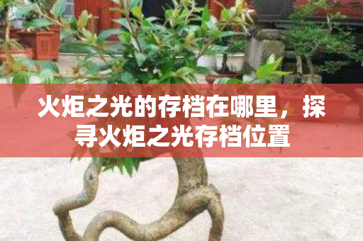 火炬之光的存档在哪里，探寻火炬之光存档位置
