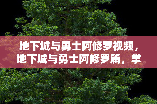 地下城与勇士阿修罗视频,地下城与勇士阿修罗篇,掌握修罗之力的战斗艺术 地下城与勇士阿修罗视频,地下城与勇士阿修罗篇,掌握修罗之力的战斗艺术