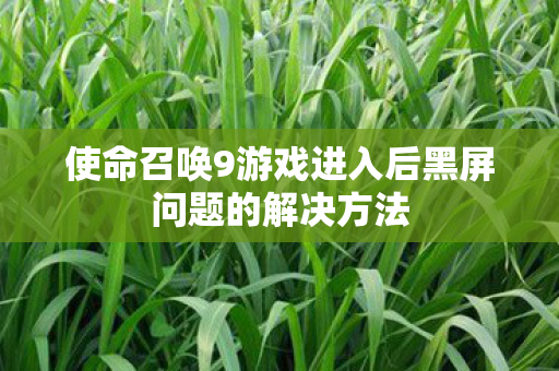 使命召唤9游戏进入后黑屏问题的解决方法 使命召唤9游戏进入后黑屏问题的解决方法