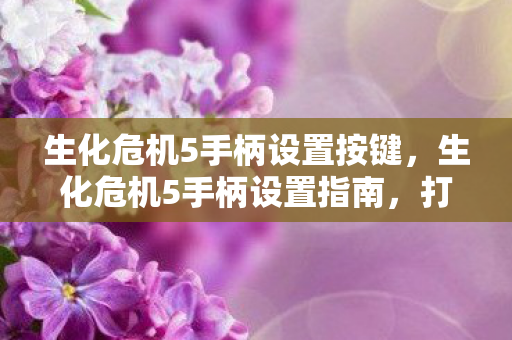 生化危机5手柄设置按键，生化危机5手柄设置指南，打造个性化游戏体验