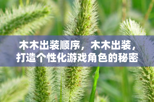 木木出装顺序，木木出装，打造个性化游戏角色的秘密武器