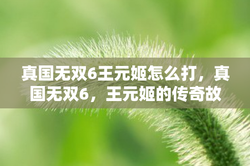 真国无双6王元姬怎么打,真国无双6,王元姬的传奇故事 真国无双6王元姬怎么打,真国无双6,王元姬的传奇故事