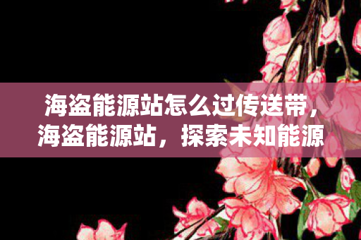海盗能源站怎么过传送带,海盗能源站,探索未知能源,挑战传统能源格局 海盗能源站怎么过传送带,海盗能源站,探索未知能源,挑战传统能源格局