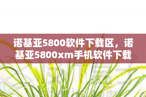 诺基亚5800软件下载区,诺基亚5800xm手机软件下载,丰富选择,便捷体验 诺基亚5800软件下载区,诺基亚5800xm手机软件下载,丰富选择,便捷体验